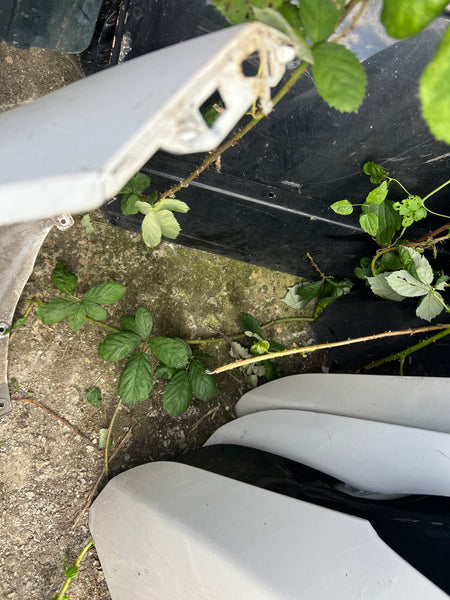 Bmw 2 series 2024 f44 coupe front M sport bumper

needs repair /respray please observe ok

white 

bmw part

bmw parts

bmw bumper

BaronesstheBmlady

slogansbybaroness
#bmwf44 #bmwf44
#bmw2series #bmw2series