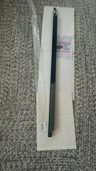 51357465181
 
Bmw 4 series 2020 passenger side rear Window Well Strip, Outer, Door, 

7465181 (Copy)