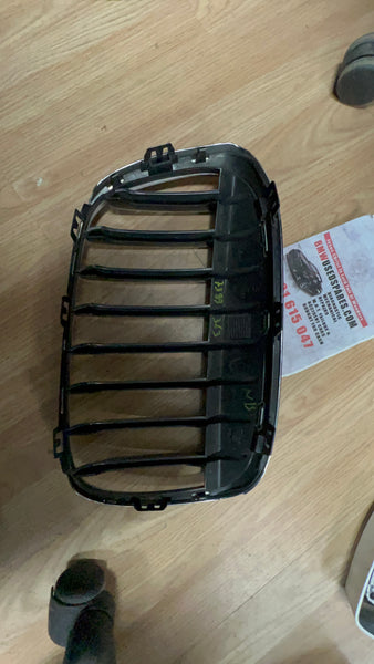 7383363    BMW X1  2017 F48 20d  passenger Side Kidney Grille  7383363