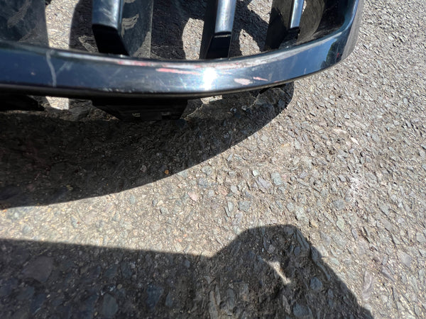 7450957       BMW 1 Series 2022 F40  Kidney Grille    7450957    7450959